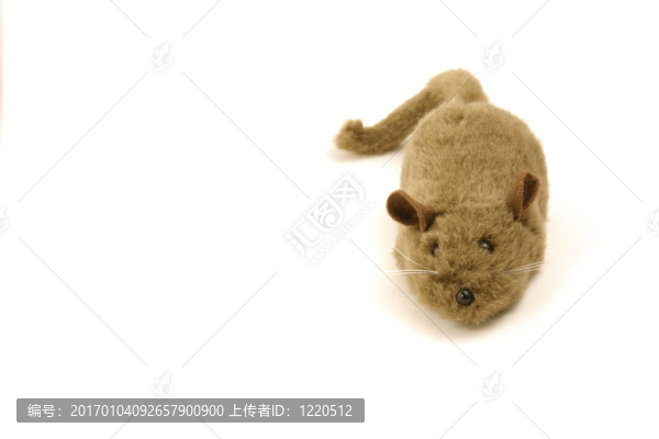 隔離玩具鼠標(biāo)