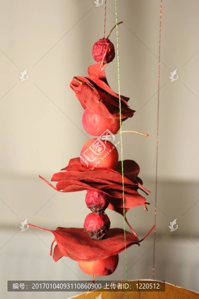 區(qū)系成分