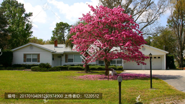 flhome00051a