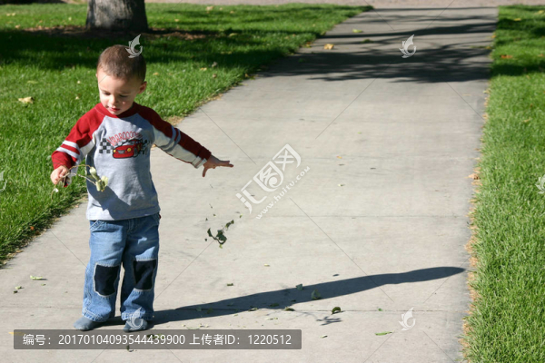 撕下葉子