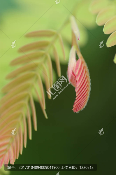 新的生活