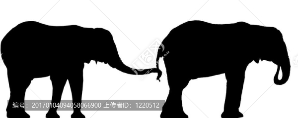 大象