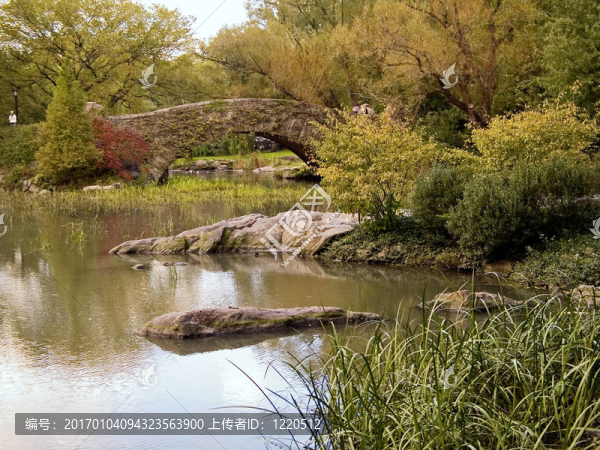 中央公園的池塘