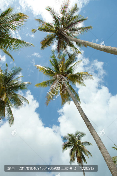 到達(dá)天空