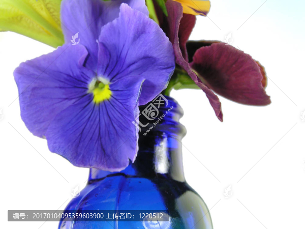 藍色花瓶里的混合花
