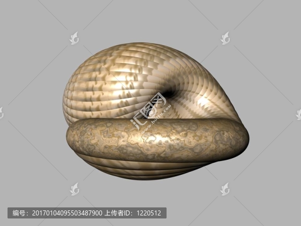 中海殼牌五