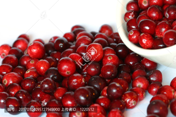 碗小紅莓