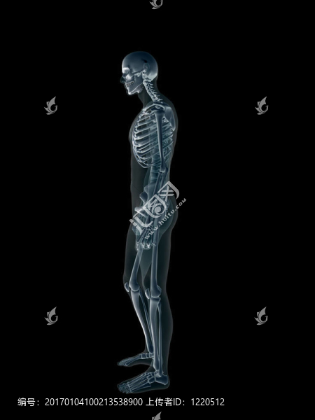 X射線；X射線的人類男性的身體。