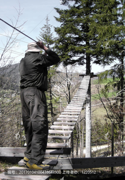 acrobranch運(yùn)動