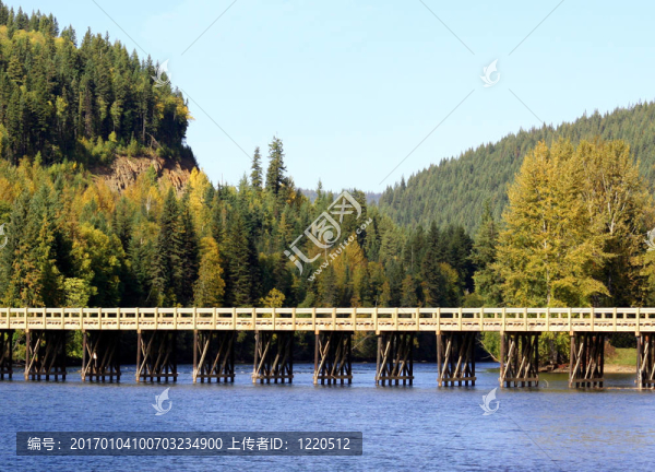 橋