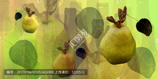 瓶子和梨