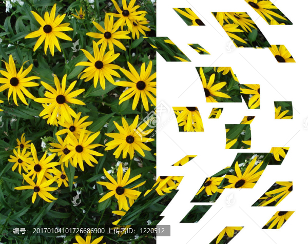 風(fēng)