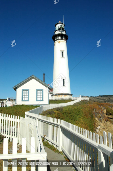 鴿子PT,Lighthous之前