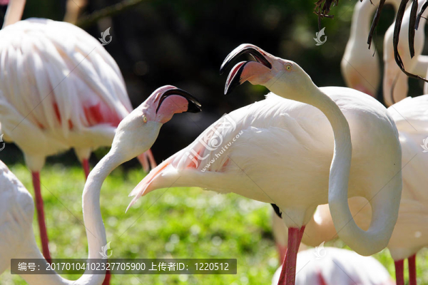 起重機(jī)-匯圖網(wǎng) www.fosd68.com 起重機(jī)