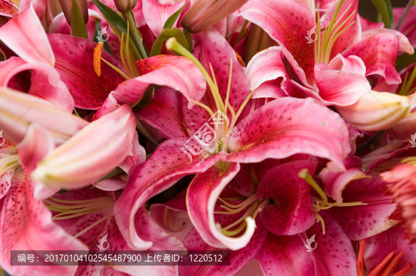 情人節(jié)卡片-匯圖網(wǎng) www.fosd68.com 情人節(jié)卡片