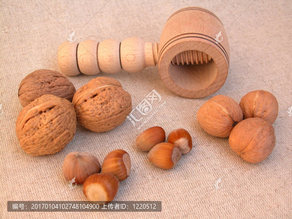 核桃；榛子