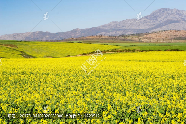 農(nóng)場(chǎng)2-匯圖網(wǎng) www.fosd68.com 農(nóng)場(chǎng)2