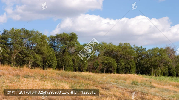 夏天的風(fēng)景