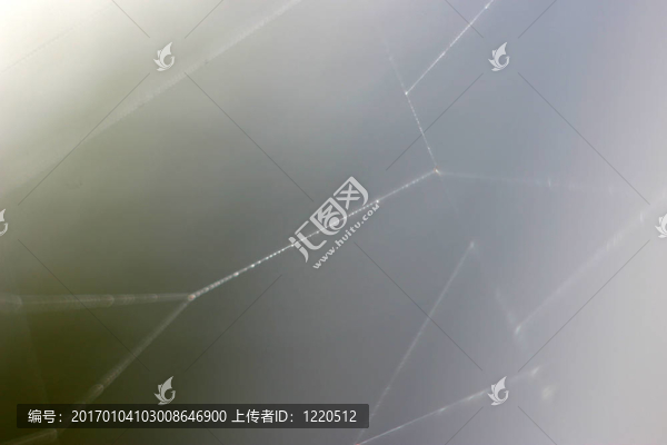 蜘蛛網(wǎng)上的露水