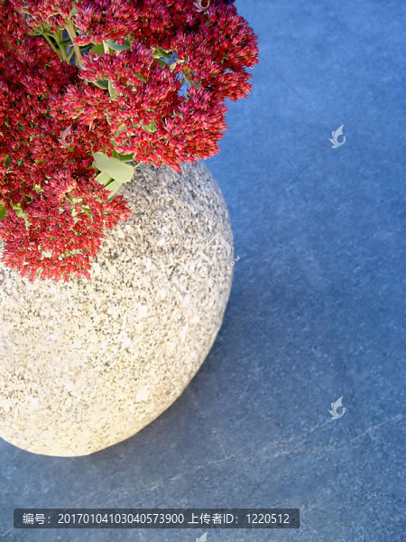 石頭花瓶和Flowers