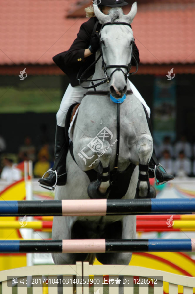 馬術(shù)-匯圖網(wǎng) www.fosd68.com 馬術(shù)