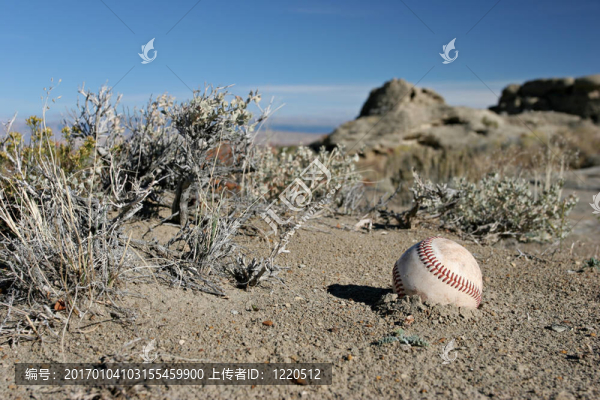 真的失去了棒球-匯圖網(wǎng) www.fosd68.com 真的失去了棒球