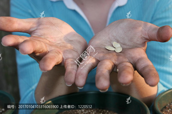 園丁的手