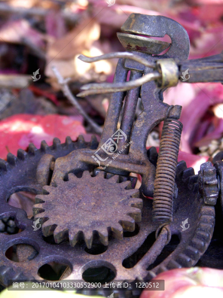 一個取樣器解剖