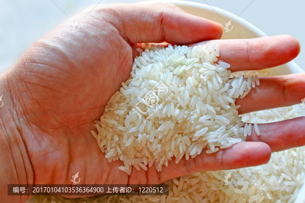 所有的Rice