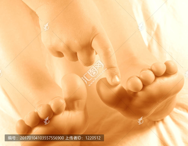 這只小豬