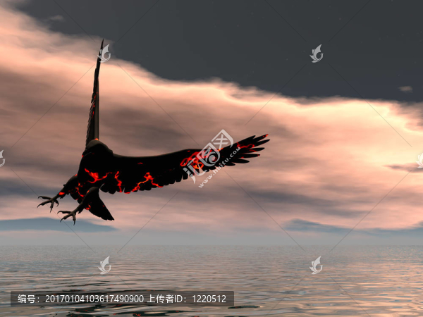 火鷹的轉(zhuǎn)折