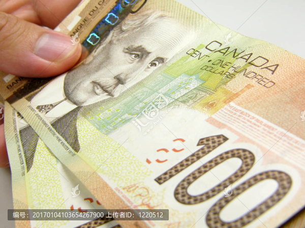 手拿美元