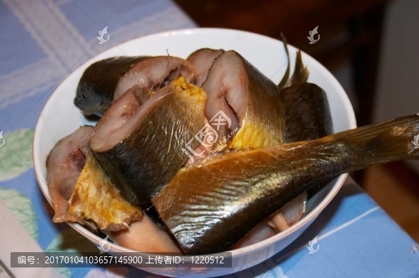 鯡魚