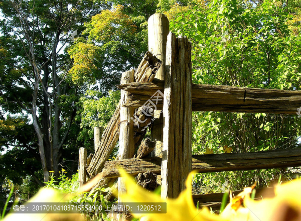 籬笆1-匯圖網(wǎng) www.fosd68.com 籬笆1