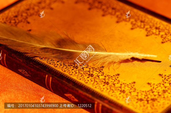 雜志-匯圖網(wǎng) www.fosd68.com 雜志