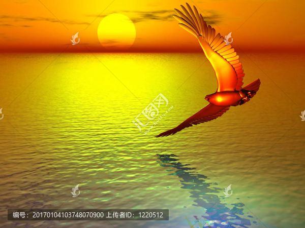 紅鷹的轉(zhuǎn)折