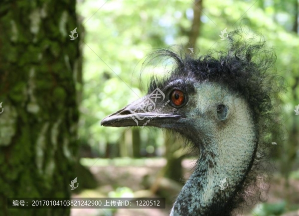 糟糕的一天-匯圖網(wǎng) www.fosd68.com 糟糕的一天