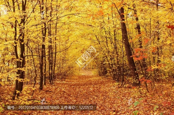 秋天