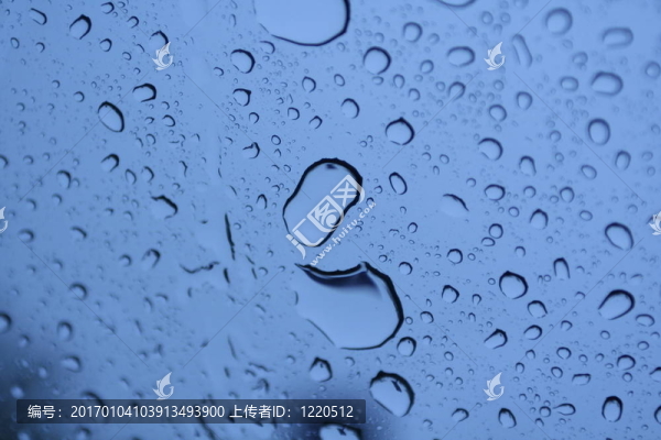 background03