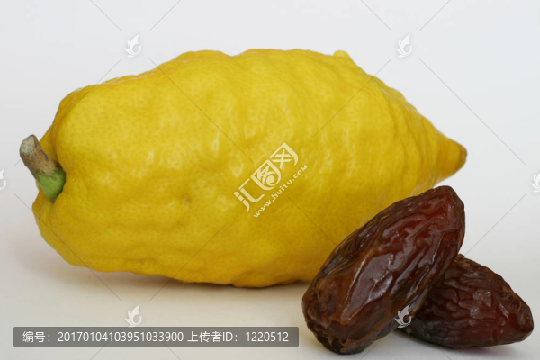猶太香櫞
