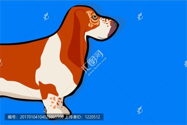 巴吉度獵犬