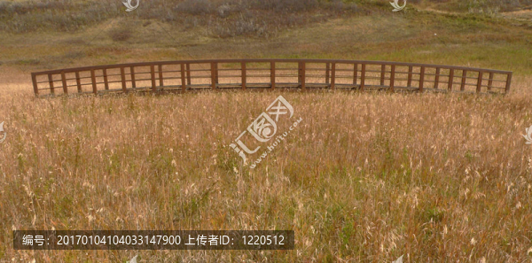 橋在Meadow