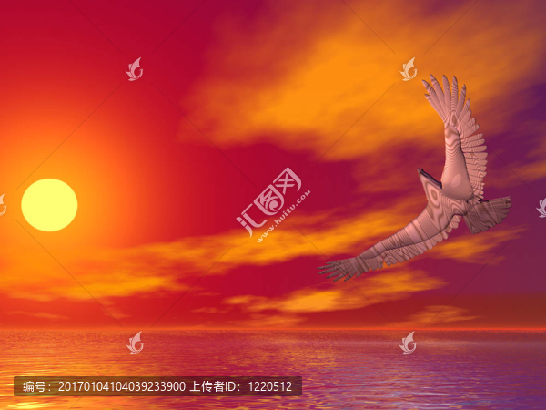 鷹的質(zhì)感