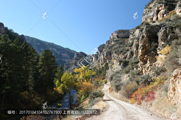 秋天的山路