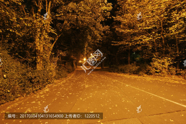 秋天的夜晚