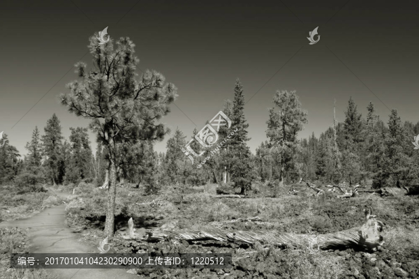 熔巖投林；紐伯里國(guó)家紀(jì)念碑