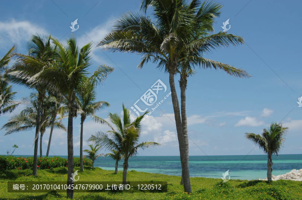 巴哈馬海灘