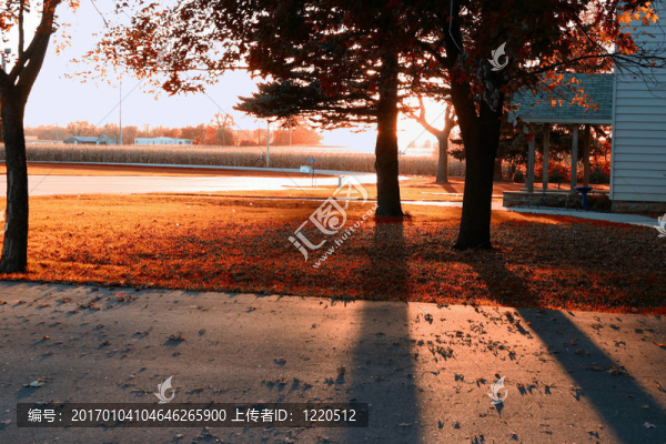陽(yáng)光斜斜的農(nóng)村