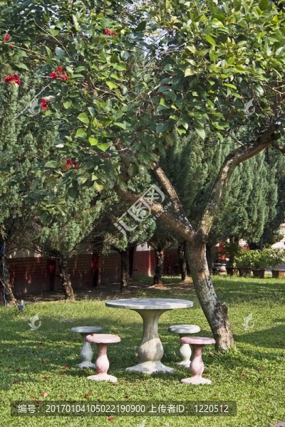 熱帶花園