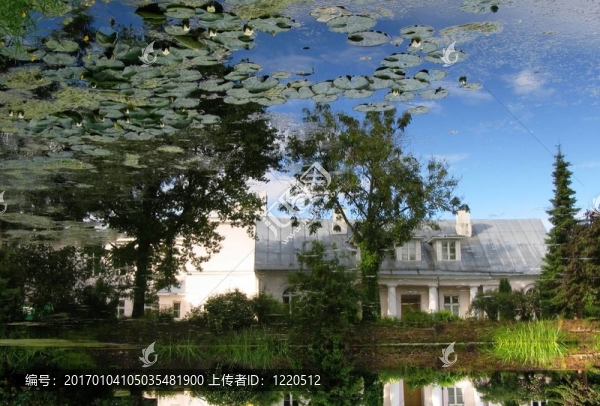在塔爾圖植物園池塘的自然反射；愛沙尼亞